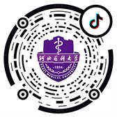 开云手机官方入口