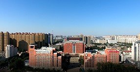 开云手机官方入口简介
